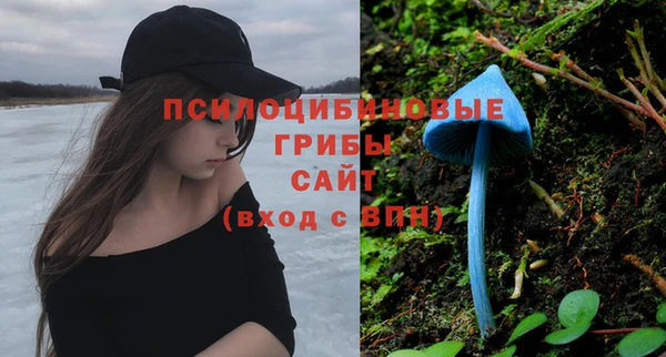прущие грибы Майский