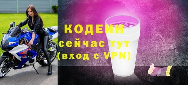 индика Мегион
