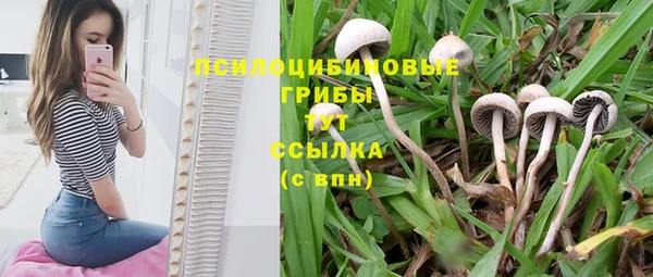 ешки Магас