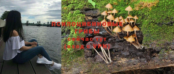ешки Магас