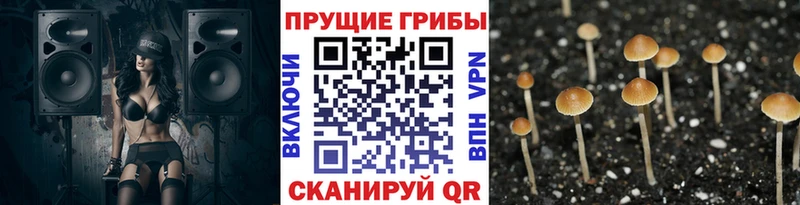 Галлюциногенные грибы GOLDEN TEACHER  Егорьевск 