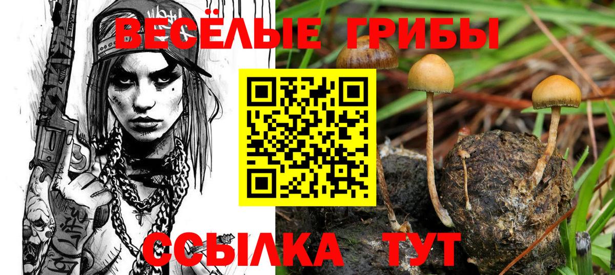 Галлюциногенные грибы ЛСД Егорьевск