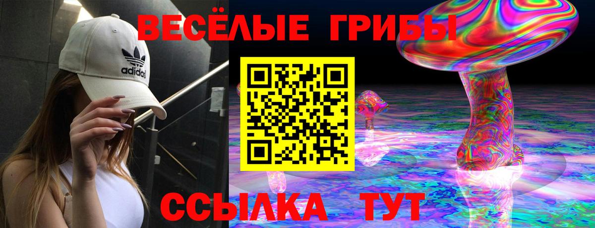 Псилоцибиновые грибы Cubensis Егорьевск