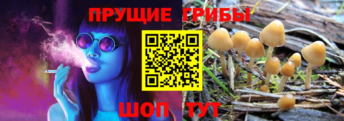 Галлюциногенные грибы Magic Shrooms  Вход с VPN  Егорьевск 